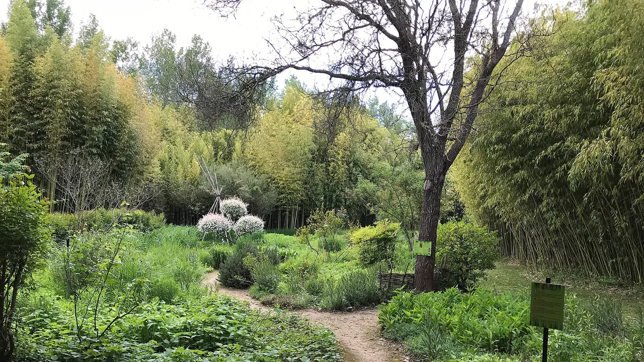 Parc aux Bambous à Lapenne, en Ariège